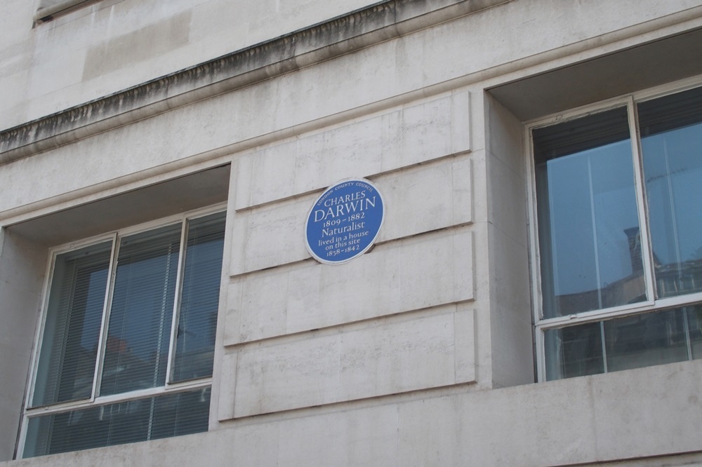 Blue Plaque～From the United Kingdom