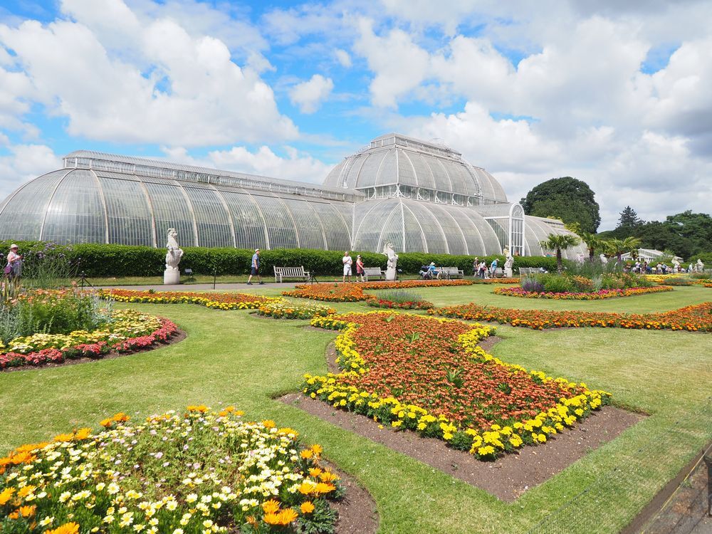 Plants In The Uk つつじ は英語で何でしょう 77の植物の英語表現をご紹介 シェーンのお役立ち情報 英会話教室 英会話スクール シェーン英会話