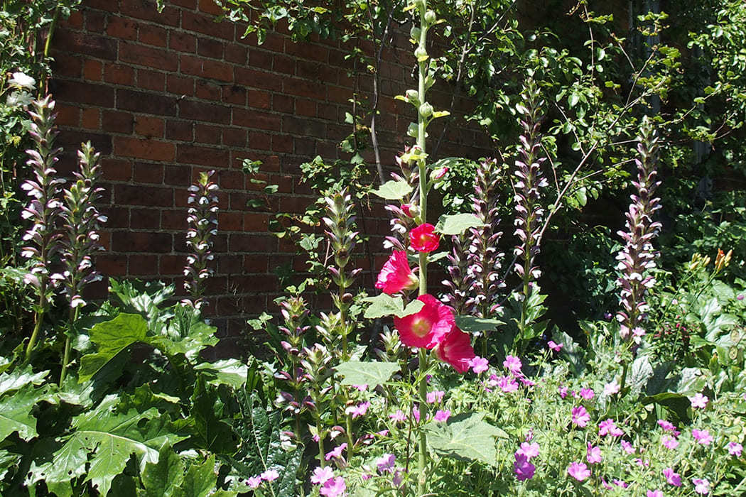 Plants In The Uk つつじ は英語で何でしょう 77の植物の英語表現をご紹介 シェーンのお役立ち情報 英会話教室 英会話スクール シェーン英会話