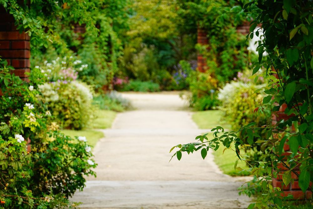 Chelsea Flower Show