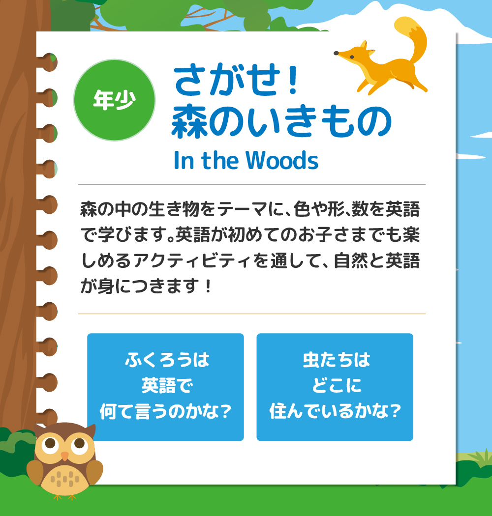 サマースクール