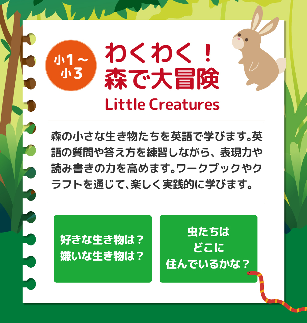 サマースクール