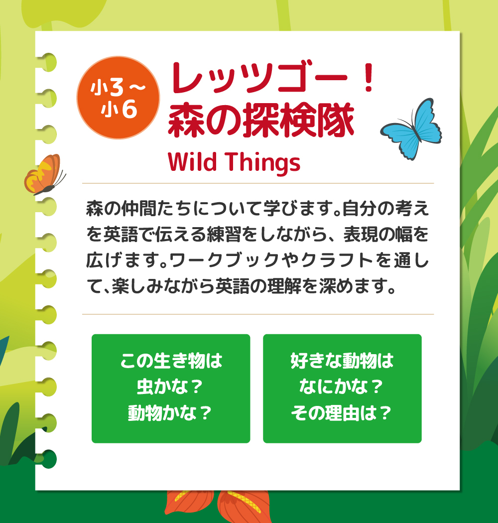 サマースクール