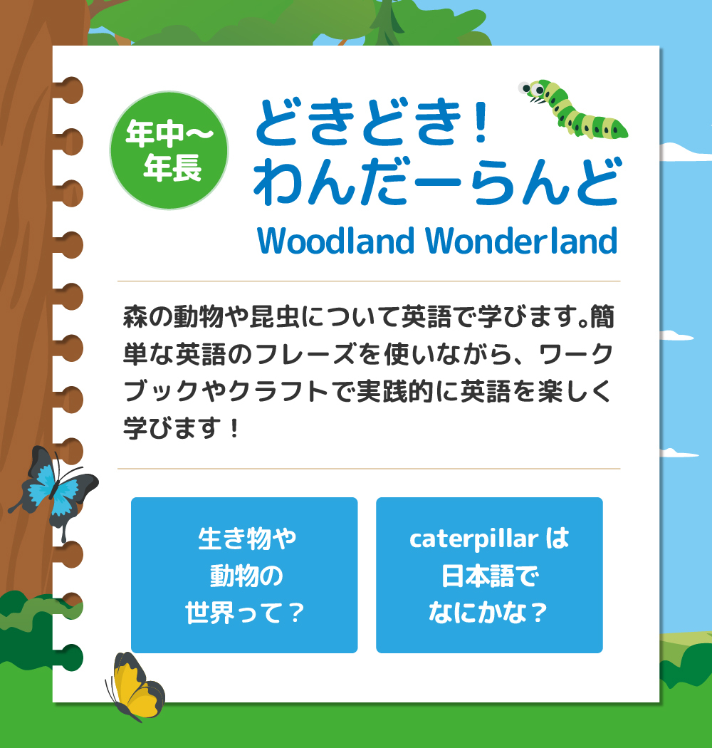 サマースクール
