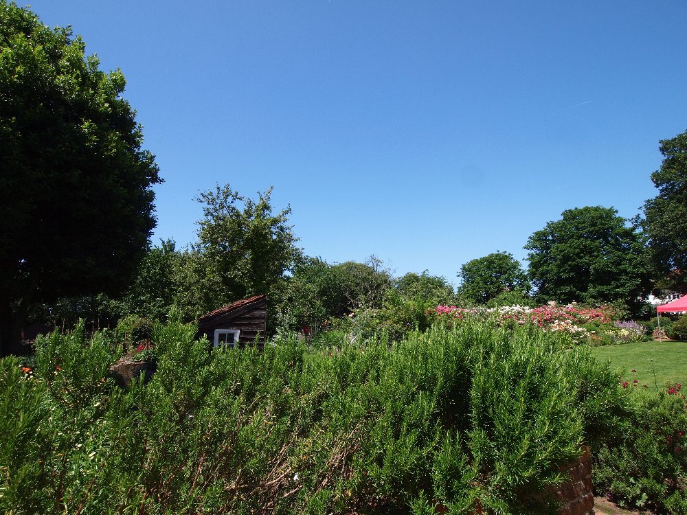 Kitchen Garden～From the United Kingdom