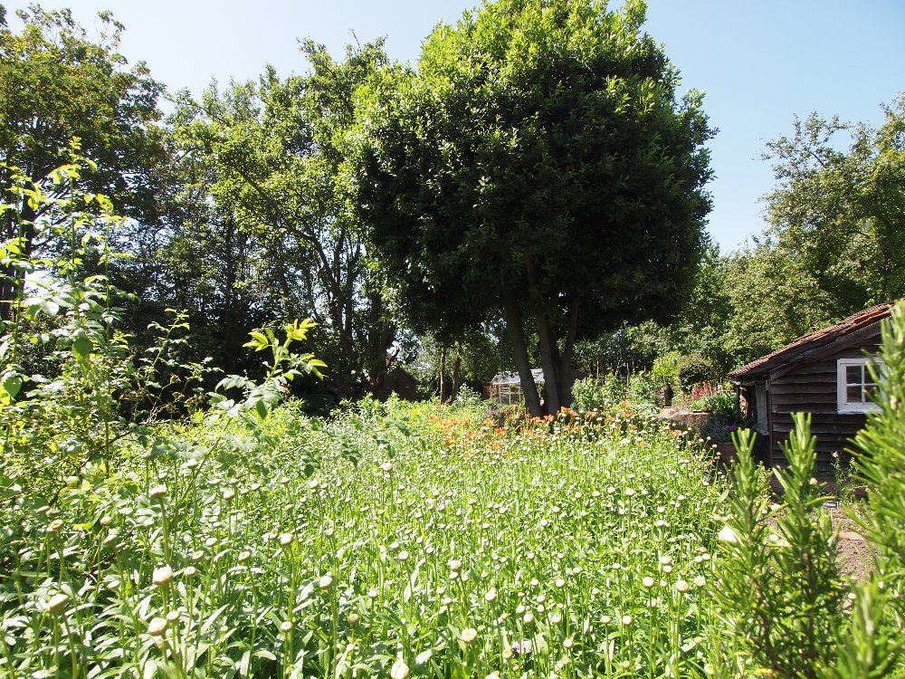 Kitchen Garden～From the United Kingdom