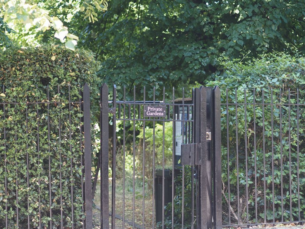 Back Garden　イギリスのお家には裏に美しいお庭があります