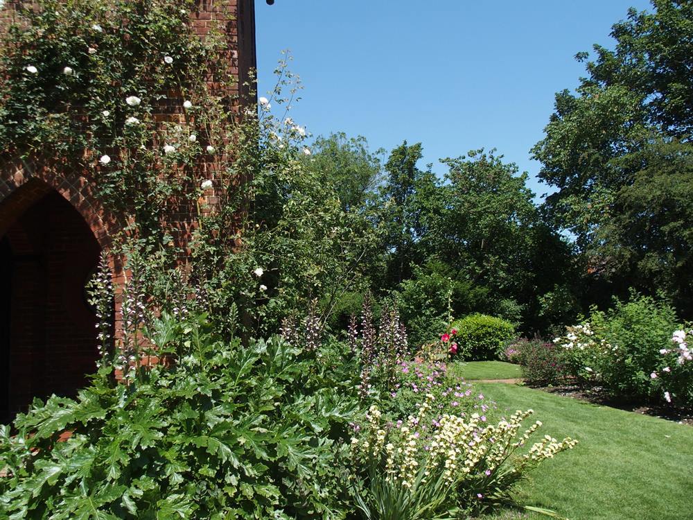 Back Garden　イギリスのお家には裏に美しいお庭があります
