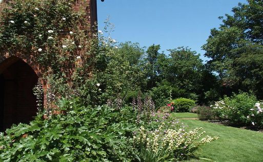 Back Garden イギリスのお家には裏に美しいお庭があります