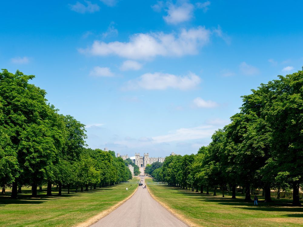 The Long Walk~From the United Kingdom