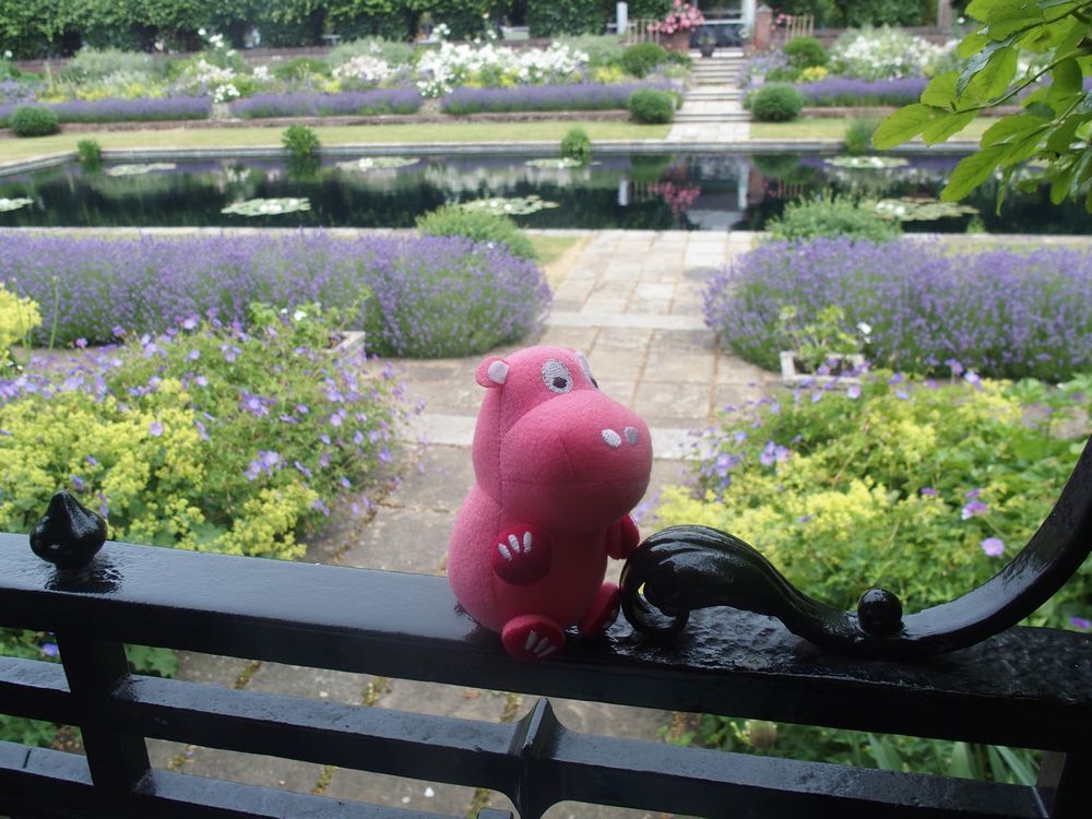 Sunken Garden～From the United Kingdom