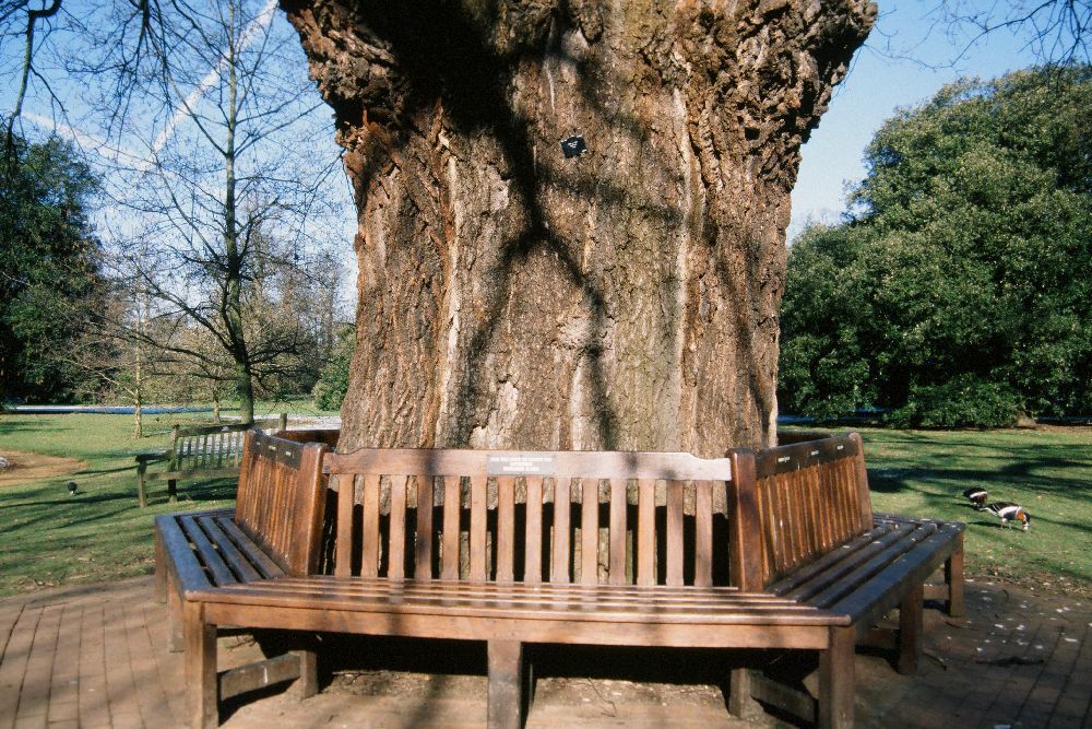Lockerbie Memorial Bench～From the United Kingdom