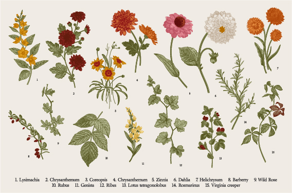 Botanical Art～From the United Kingdom