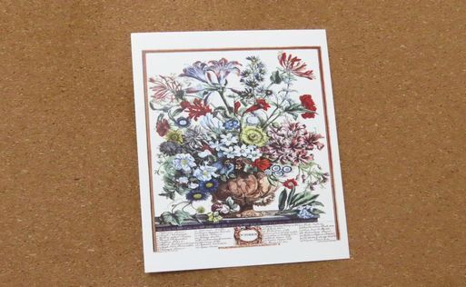 Botanical Art~From the United Kingdom