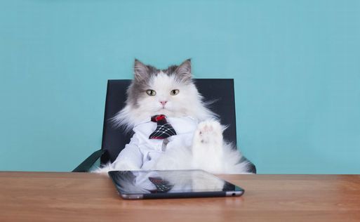 Here goes.<br />
さあ，始めるぞ。　