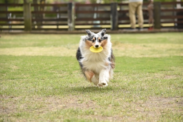 Good for you.<br />
よかった。<br />
<br />
<br />
　