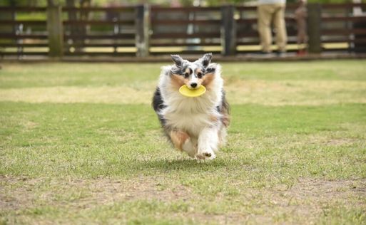 Good for you.<br />
よかった。