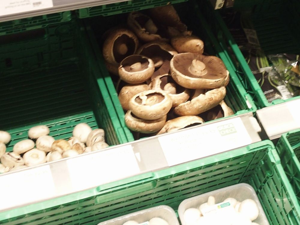 Black Mushrooms～From the United Kingdom