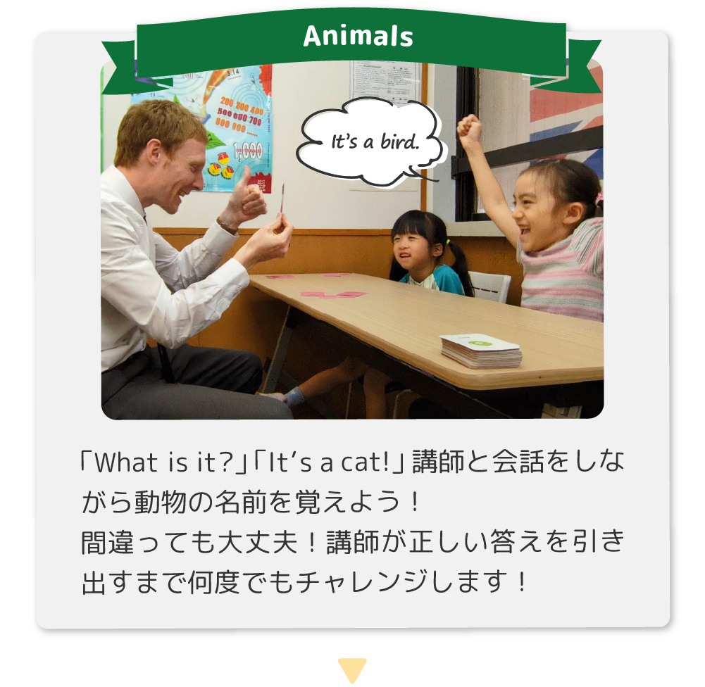 「What is it?」「It’s a cat!」講師と会話をしながら動物の名前を覚えよう！間違っても大丈夫！