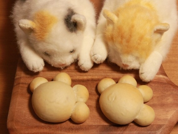 Make Bread  猫がパンをつくる???  やっと解けた猫の仕草の謎とは　