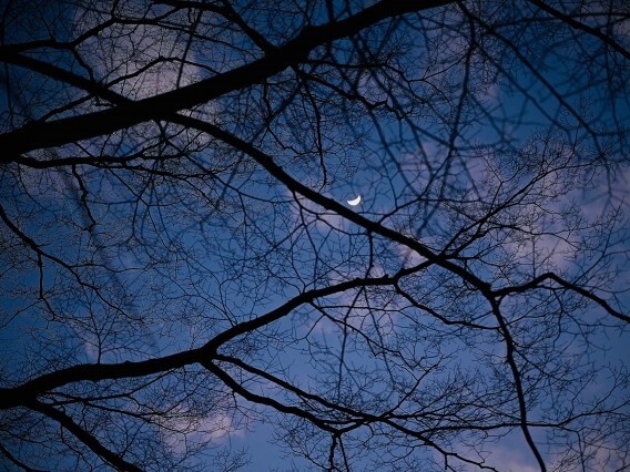 Samhain～From the United Kingdom