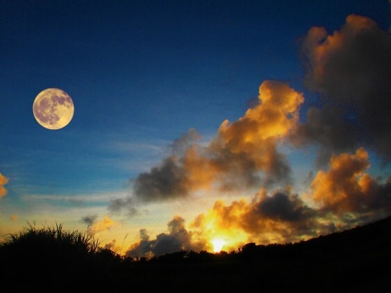Samhain～From the United Kingdom