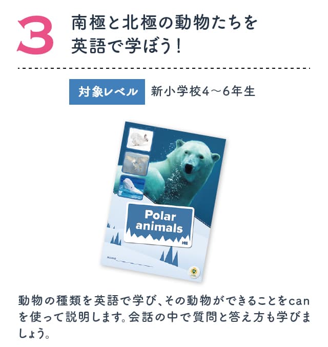 南極と北極の動物たちを英語で学ぼう!