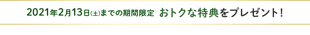 2021年2月13日(土)までの期間限定 おトクな特典をプレゼント!