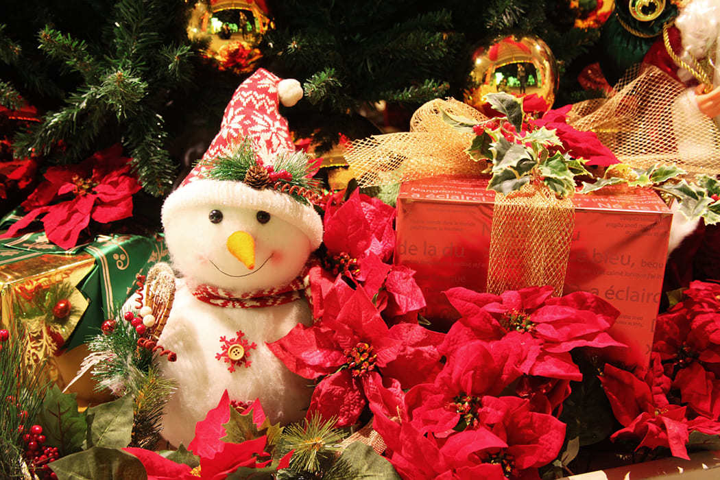 クリスマスに贈る英語メッセージ50選｜友達・恋人・子ども別に紹介