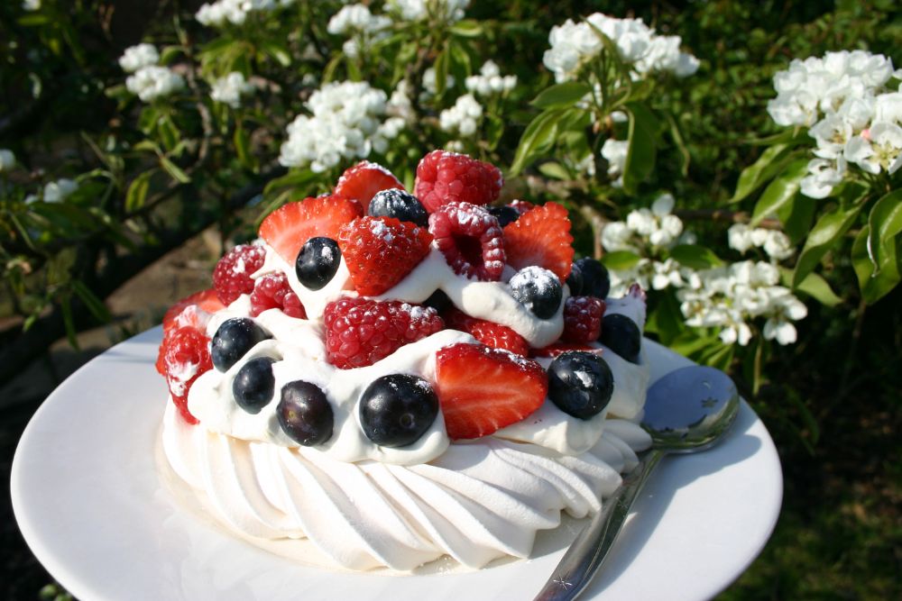 世界のクリスマスケーキを徹底紹介！国ごとに違う伝統スイーツとは