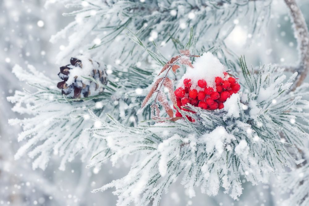 「寒い」は英語で何て言う?初心者でもすぐ使える表現まとめ