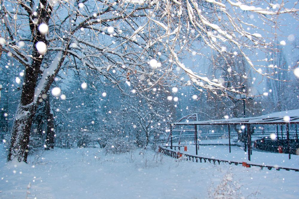 「寒い」は英語で何て言う?初心者でもすぐ使える表現まとめ