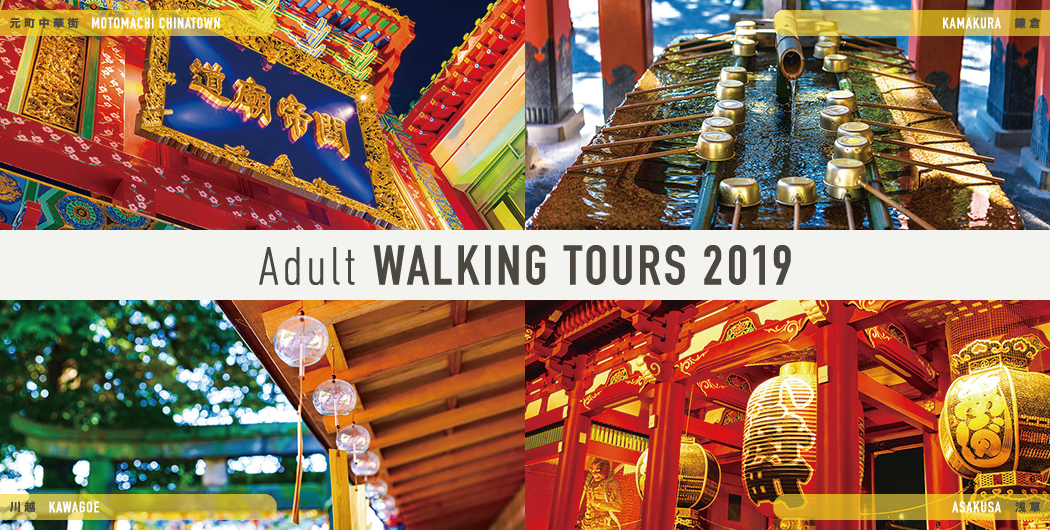 Adult WALKING TOURS 2019