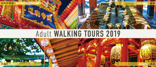 Adult WALKING TOURS 2019