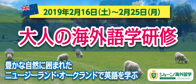 大人の海外語学研修