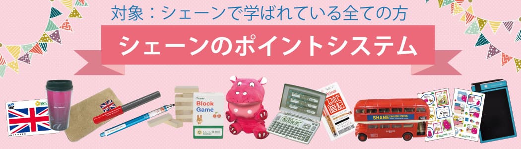 シェーンポイントシステム